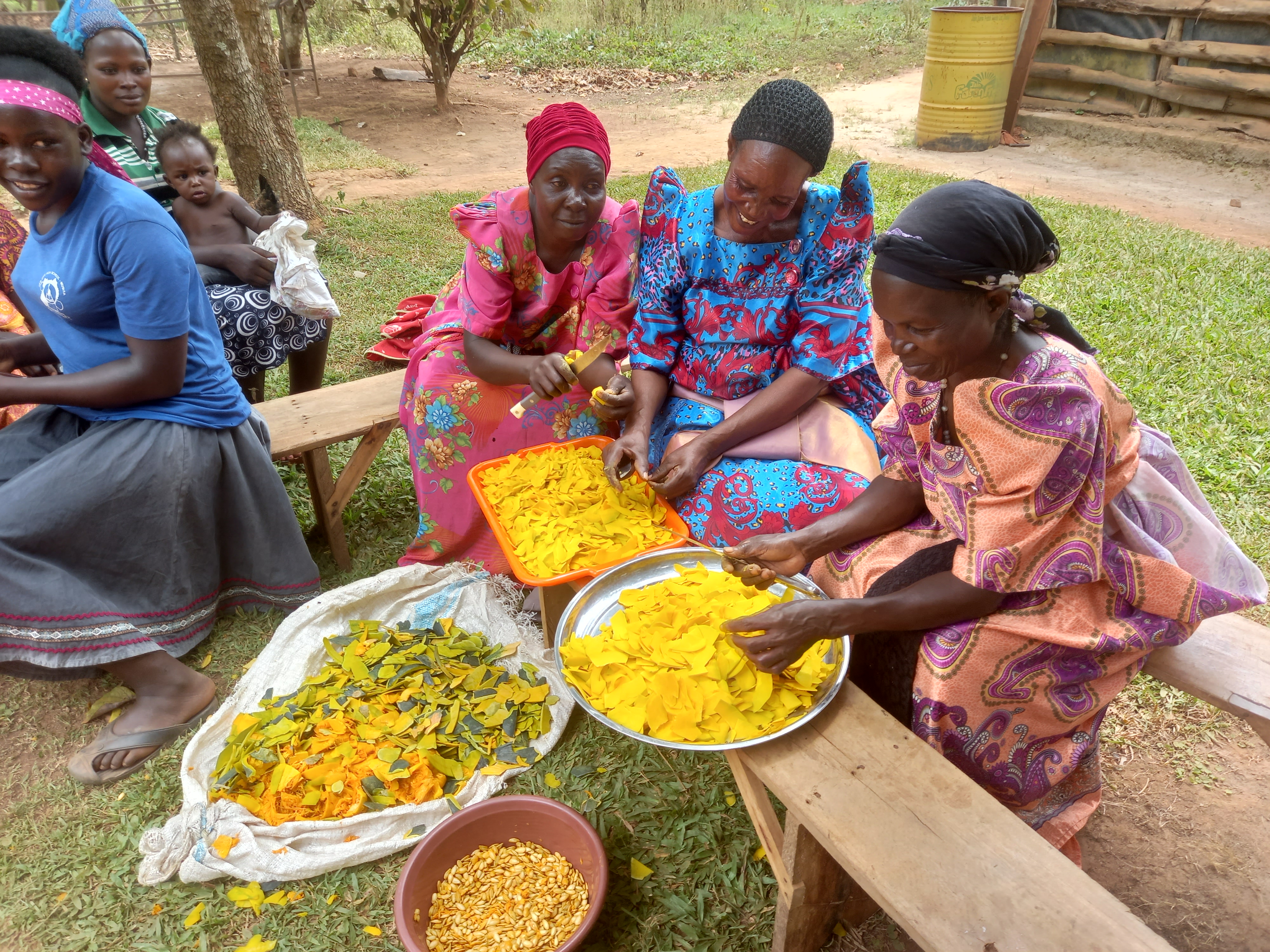 Women working on pumpkin